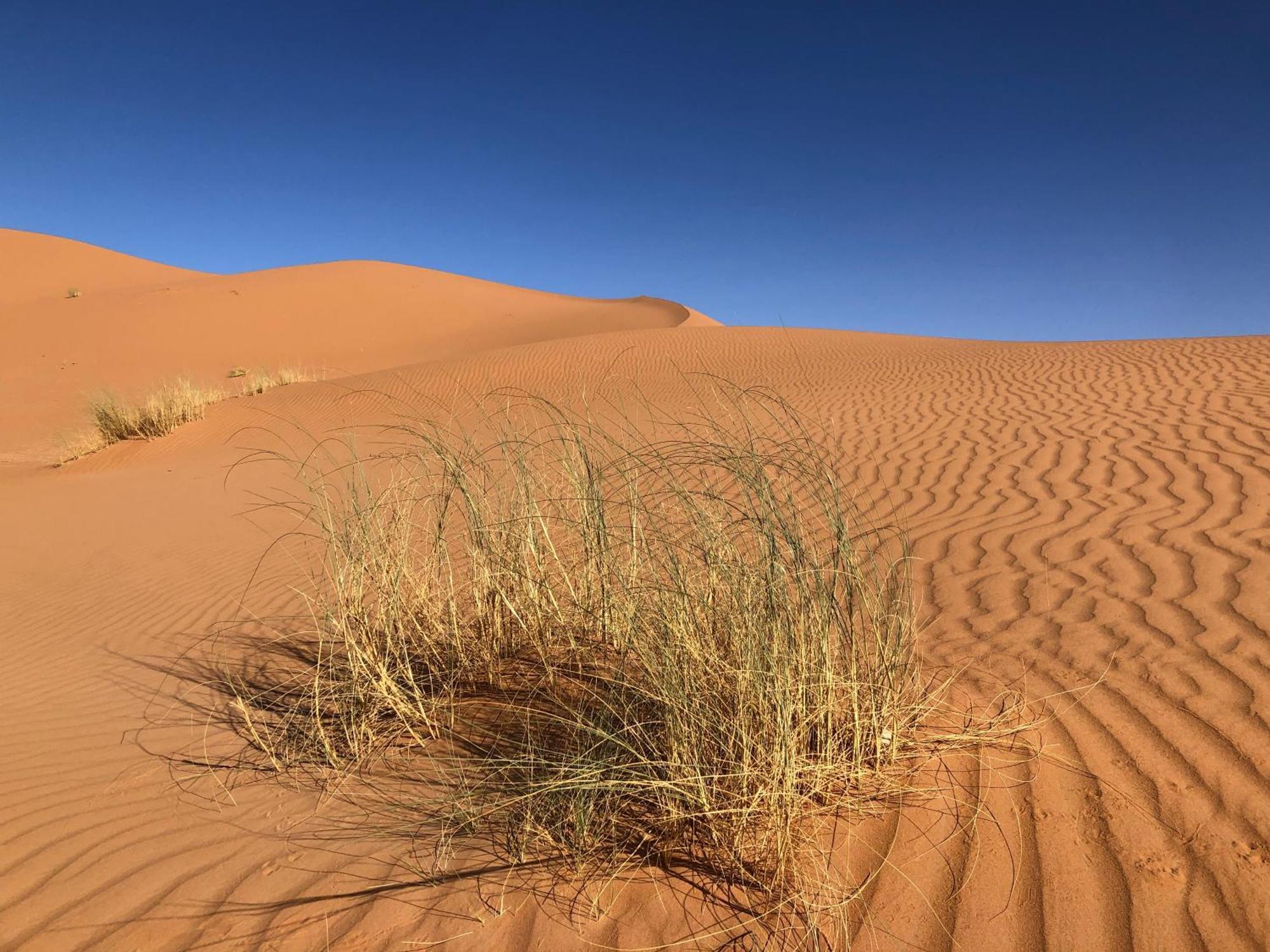Bivouac Le Petit Prince Merzouga Exterior foto